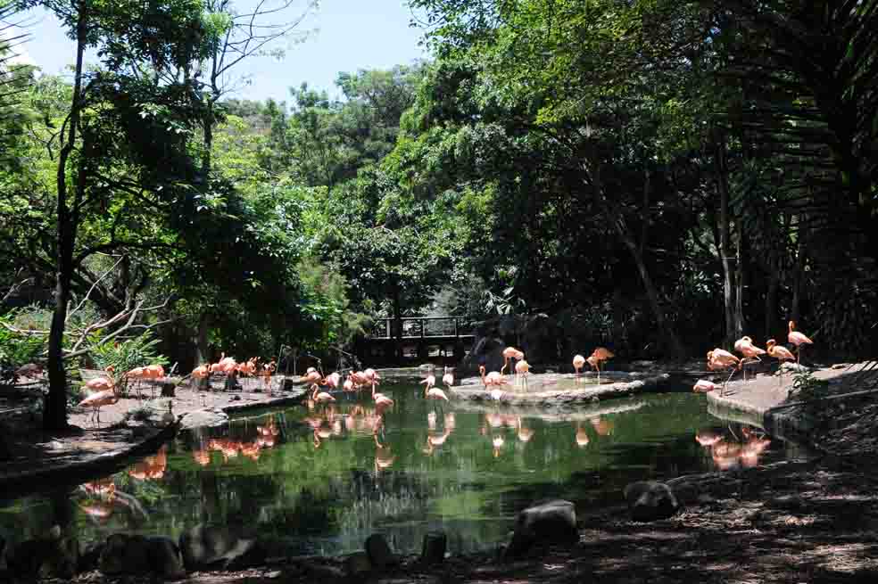 No más jaulas en el zoológico de Medellín