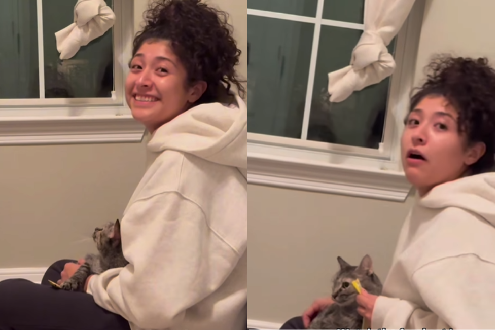 Capturan el momento exacto en el que una mujer se ganó el amor de una gata salvaje