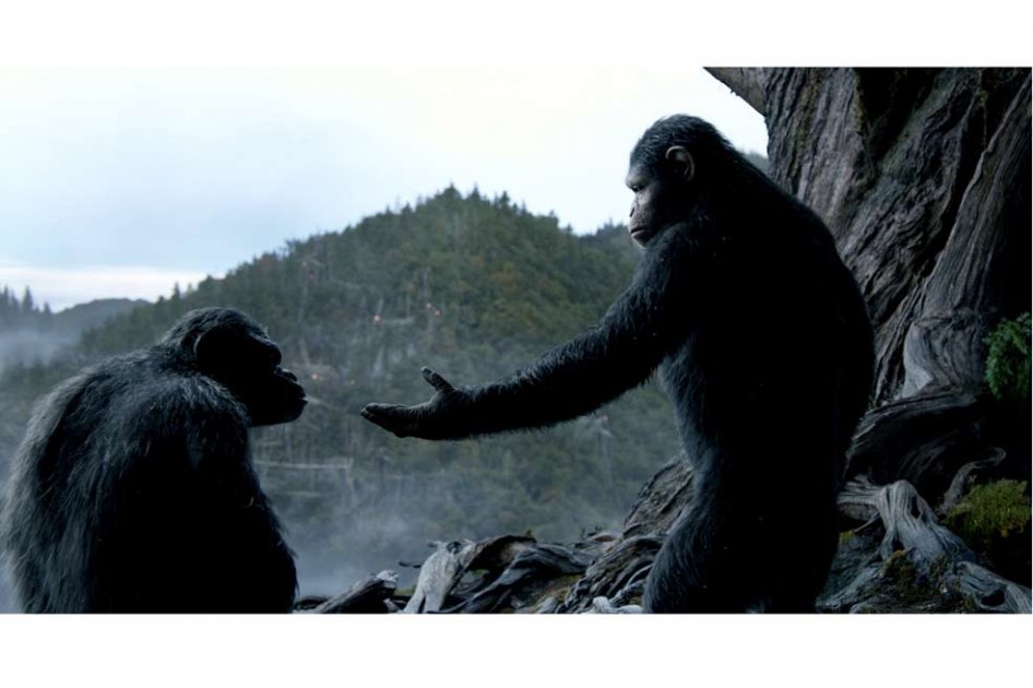 «El planeta de los simios: confrontación» se estrena en Colombia
