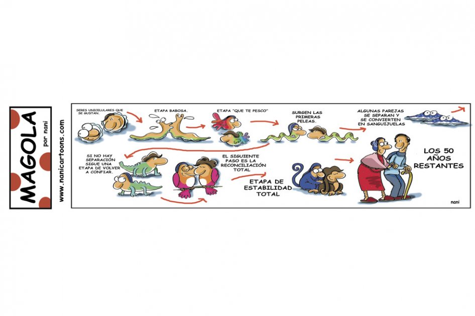 Evolución