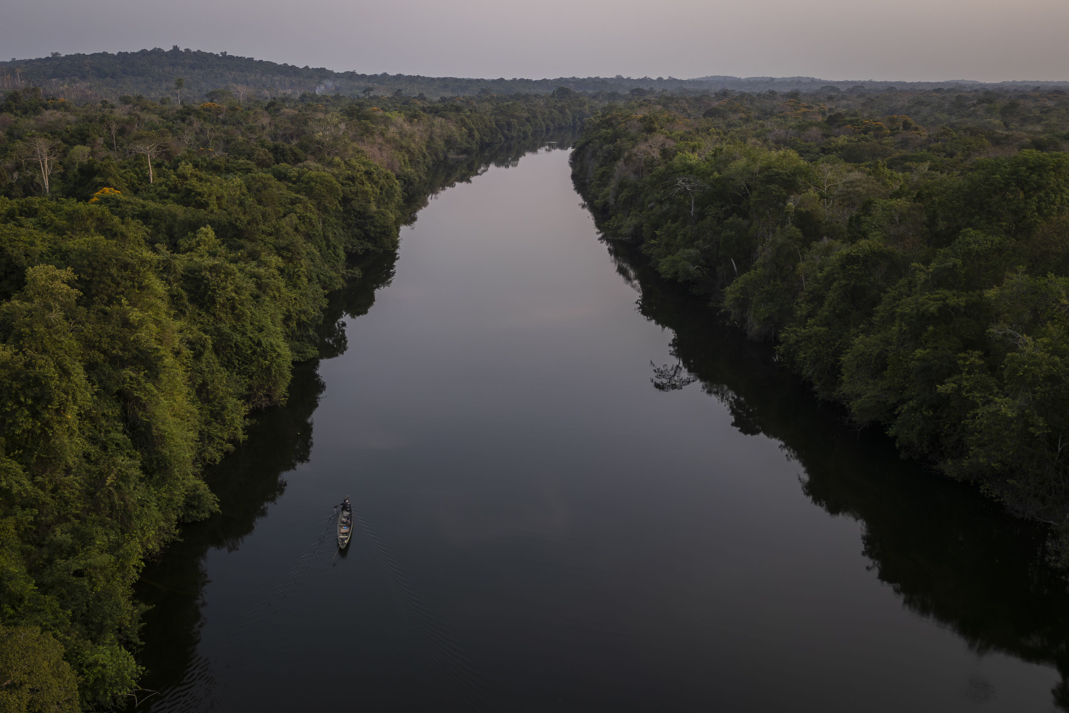 Investigan en la Amazonia a un parásito que está afectando a peces en todo el mundo