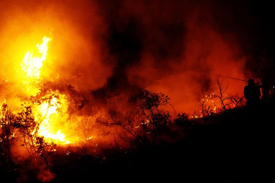 Cerca del 60% de los municipios del Tolima está en emergencia por incendios forestales