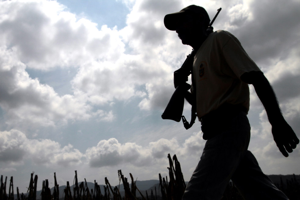 La autodefensa de Guerrero