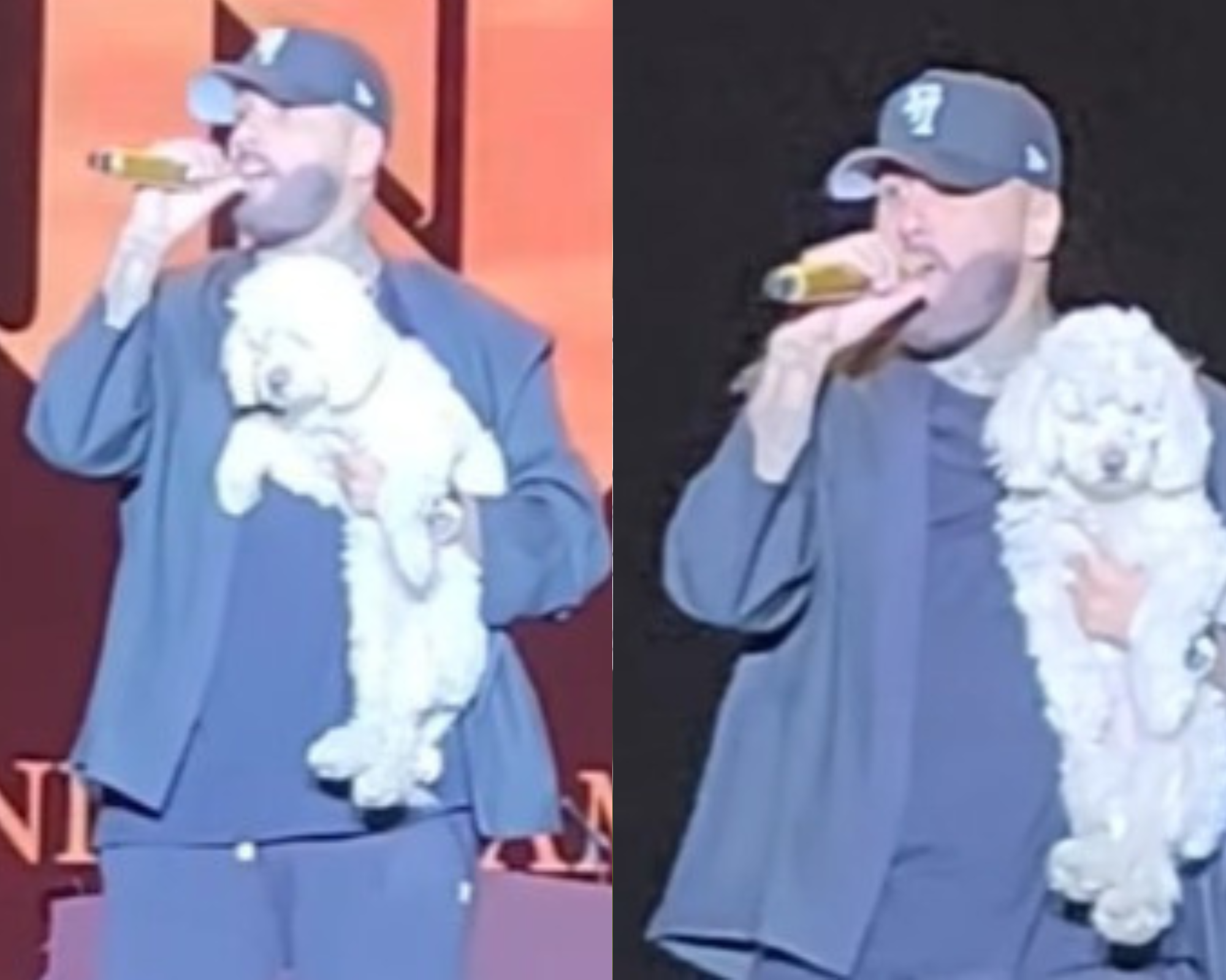 Nicky Jam encontró a una perrita en concierto, la subió al escenario y ahora le buscan hogar