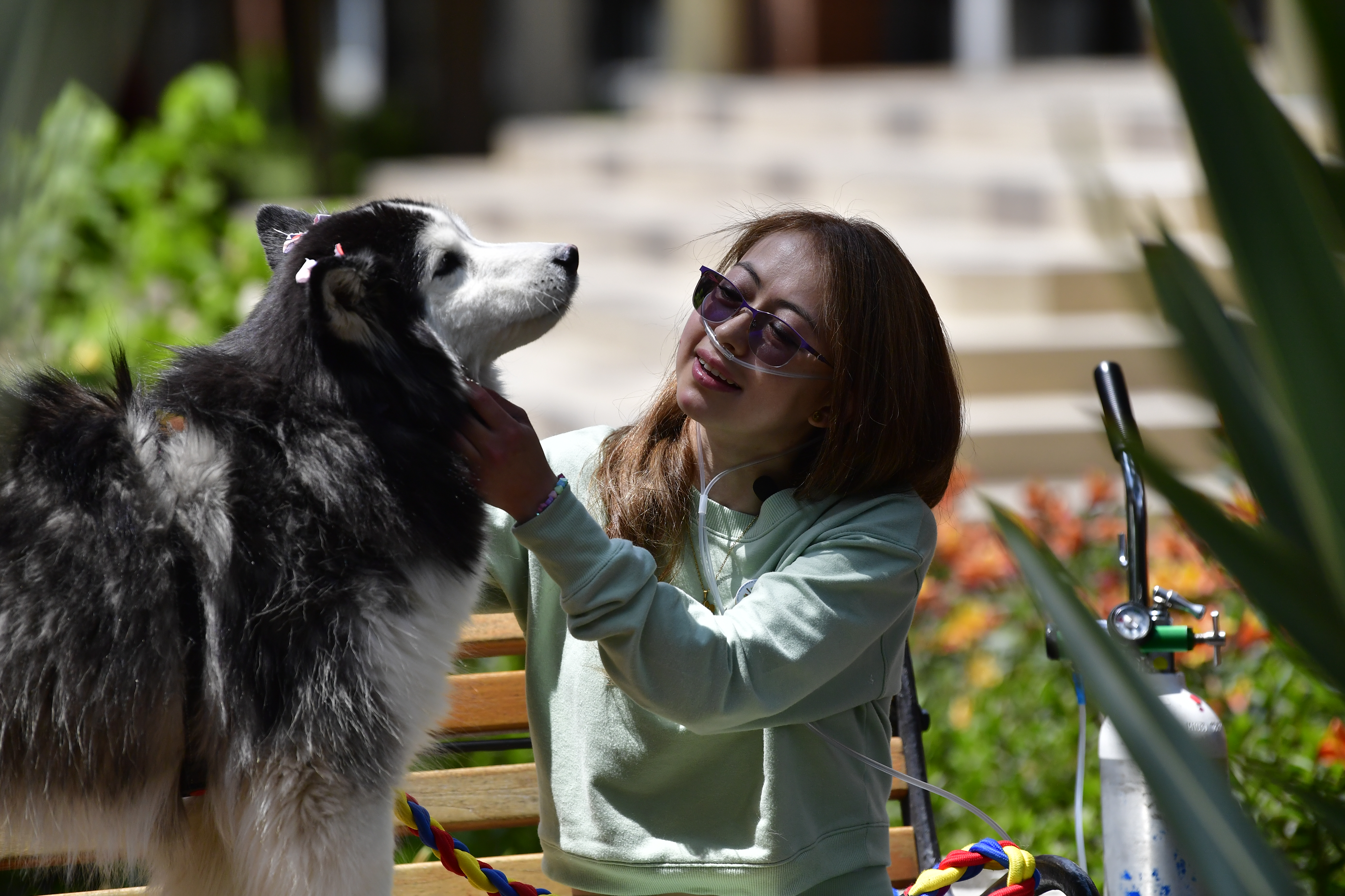 Cuando los animales se convierten en el mayor apoyo de pacientes hospitalizados
