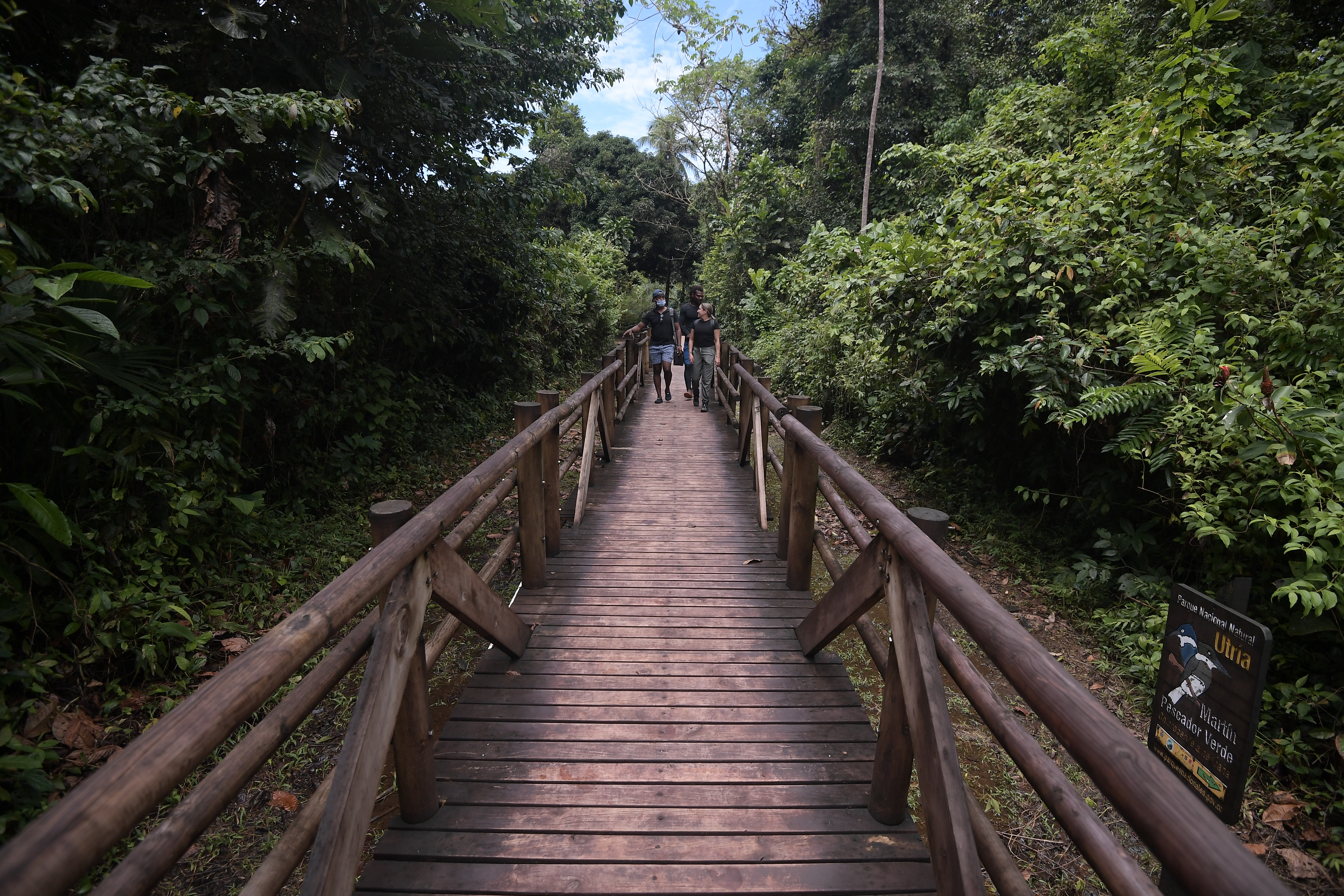 Becas para colombianos: abren convocatoria para investigar sobre biodiversidad