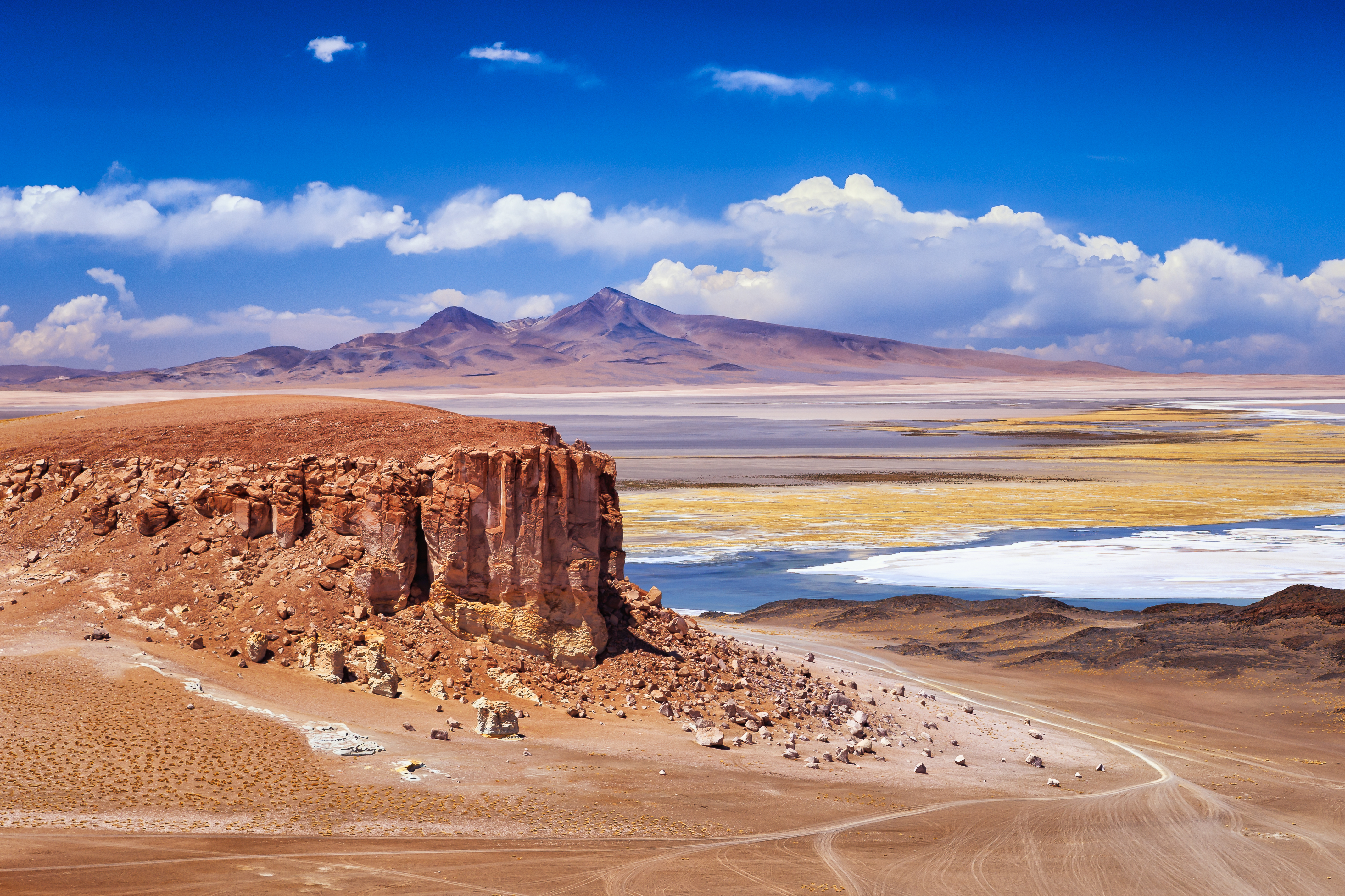 El desierto de Atacama cuenta con lagunas de poca profundidad que son el hábitat de importantes especies.
