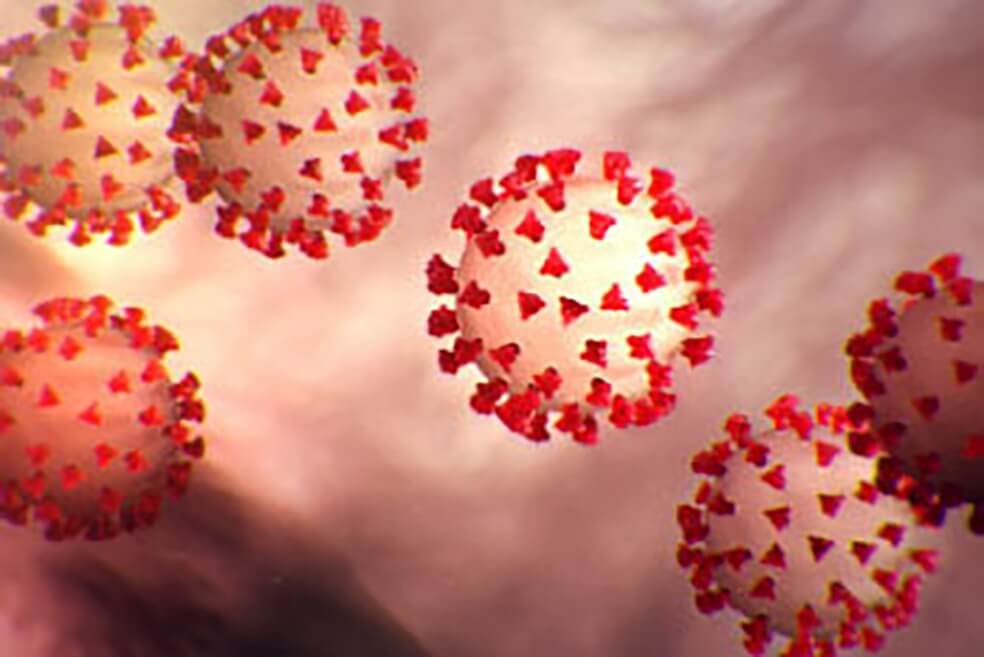 EE. UU., Israel y Japón: así va la carrera por el anticuerpo que bloquea el coronavirus
