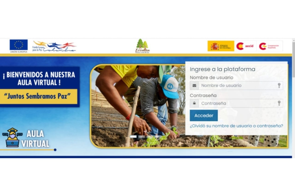 pantallazo