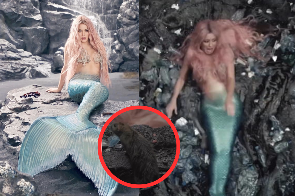 Así fue el susto de Shakira durante la grabación de ‘Copa Vacía’: salió una rata