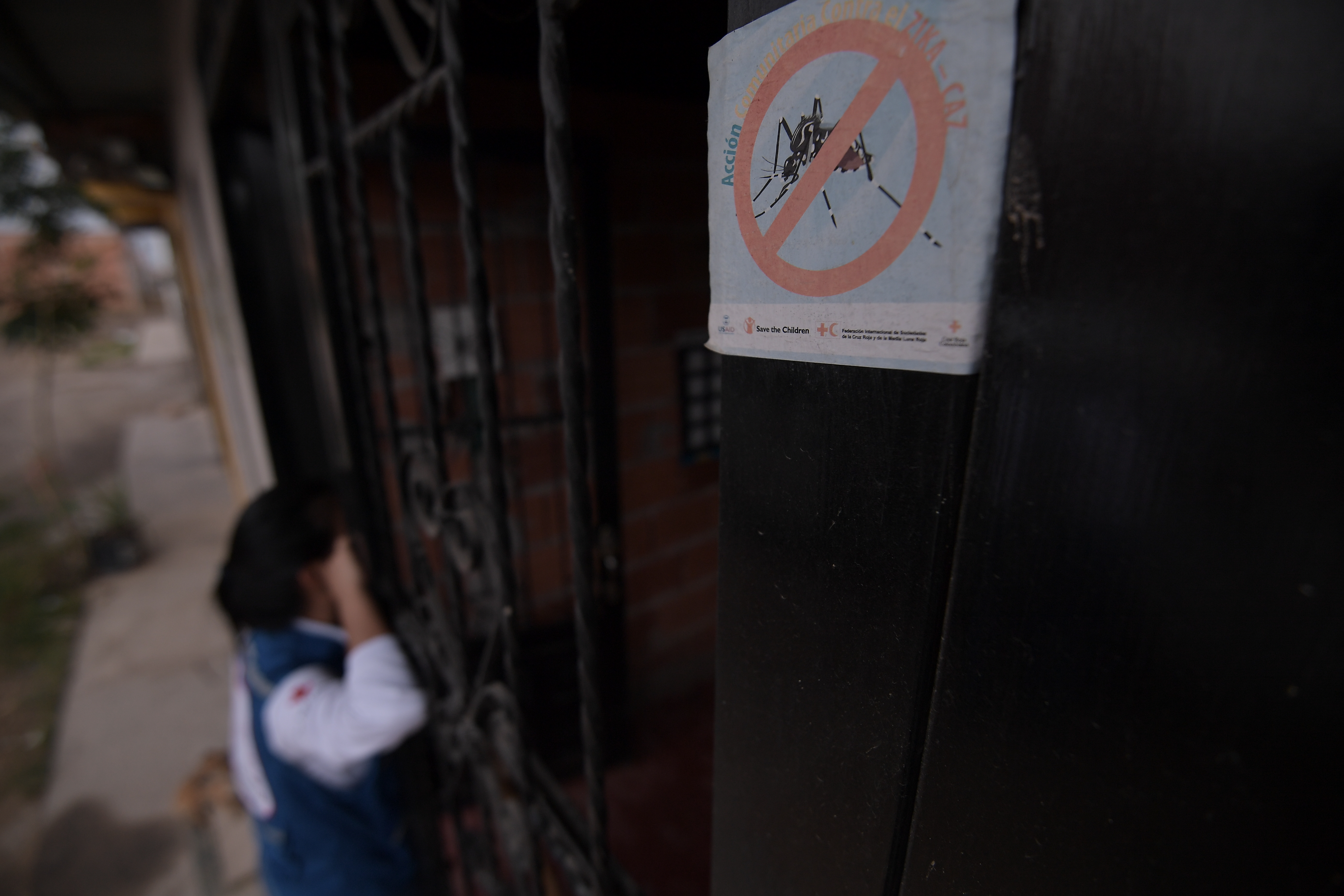 Los mosquitos rojos luchan contra el dengue en Argentina