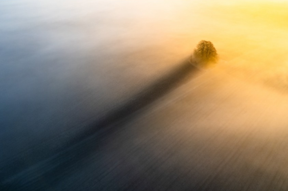 En la categoría "Naturaleza" el ganador es Christopher Harrison. Su imagen llamada "La larga sombra" fue tomada durante el primer día de la primavera meteorológica.