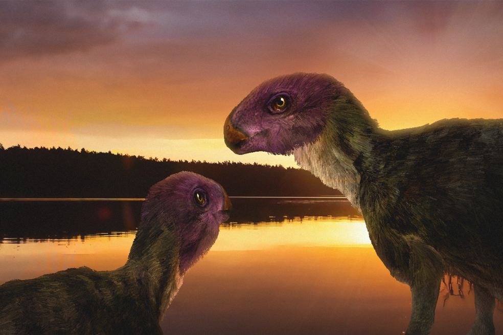 Este es el “corredor más pequeño del Jurásico”, una nueva especie de dinosaurio