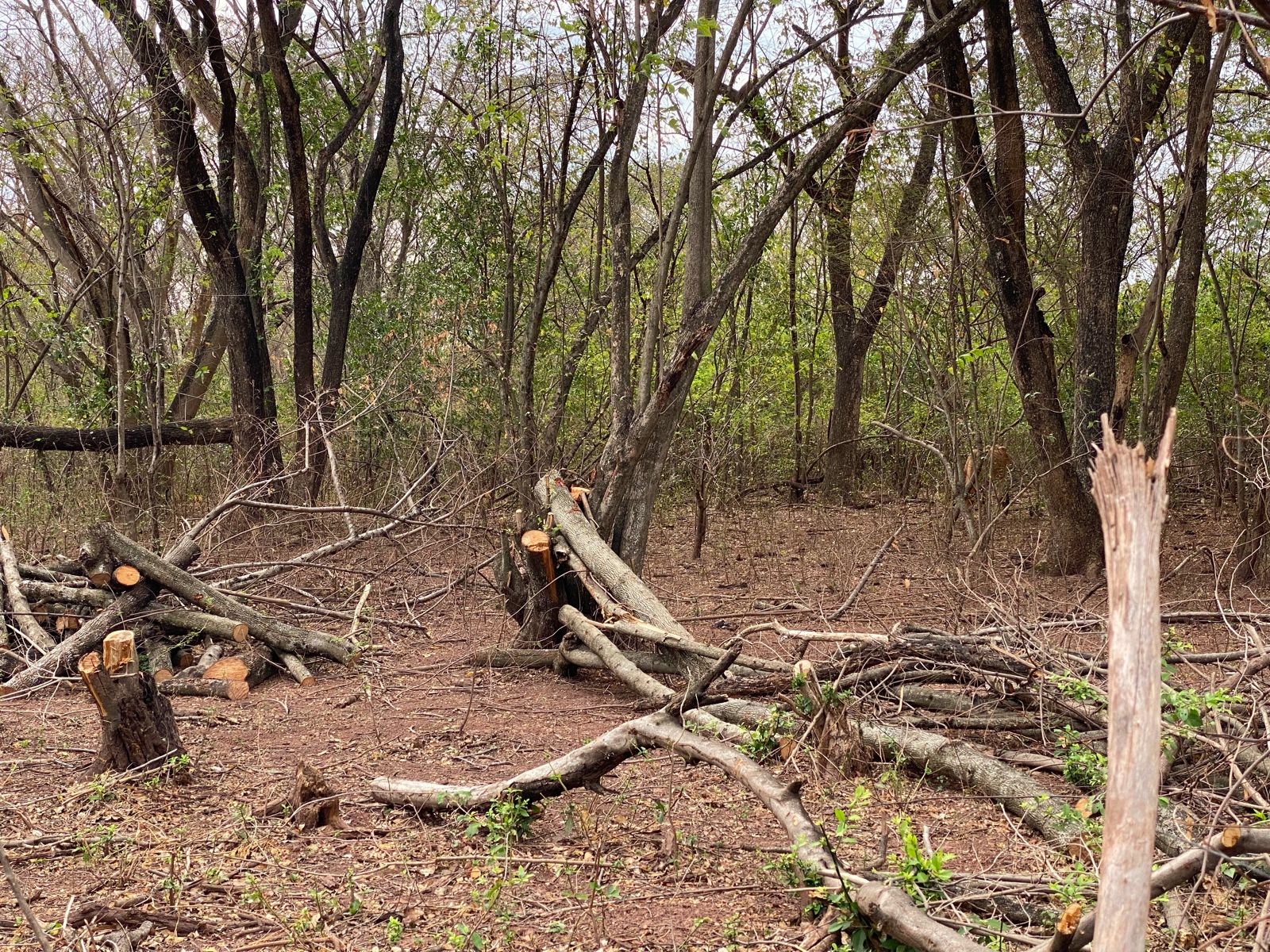 Alrededores de la obra en El Toco
