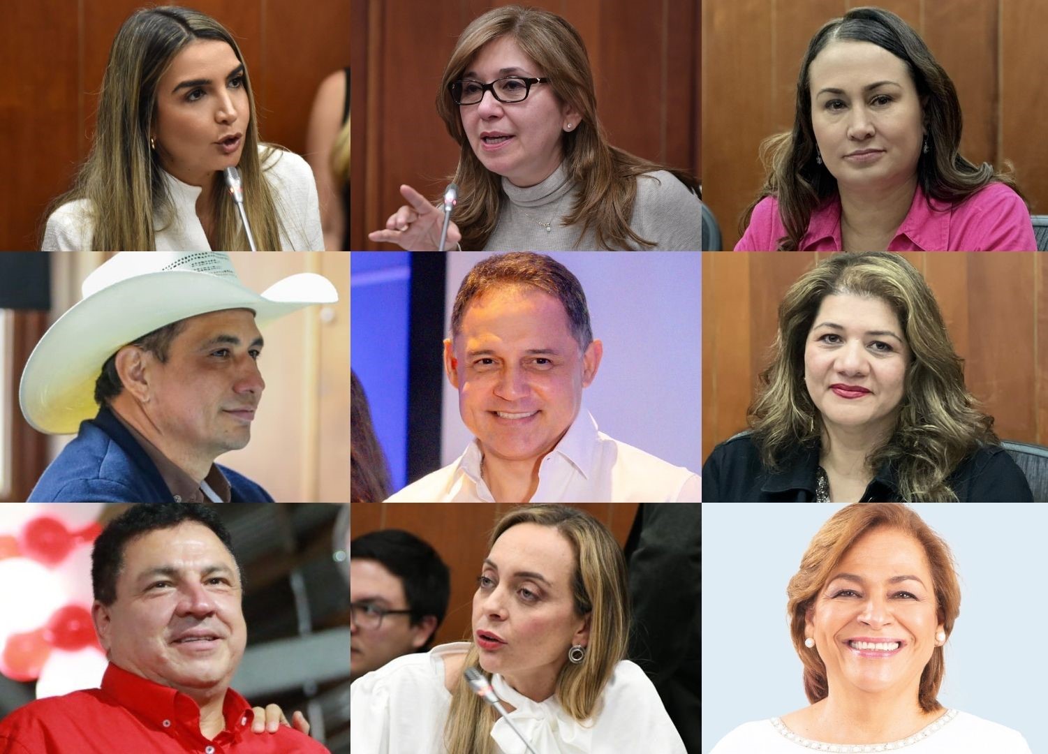 Estos son los senadores que hasta el momento están en contra de la reforma: Nadia Blel (Conservador), Norma Hurtado (de la U), Berenice Bedoya (ASI), Josué Alirio Barrera y Honorio Henríquez (Centro Democrático), Lorena Ríos (Col Justa Libres), Miguel Ángel Pinto (Liberal), Ana Paola Agudelo (MIRA), Esperanza Andrade (Conservador).