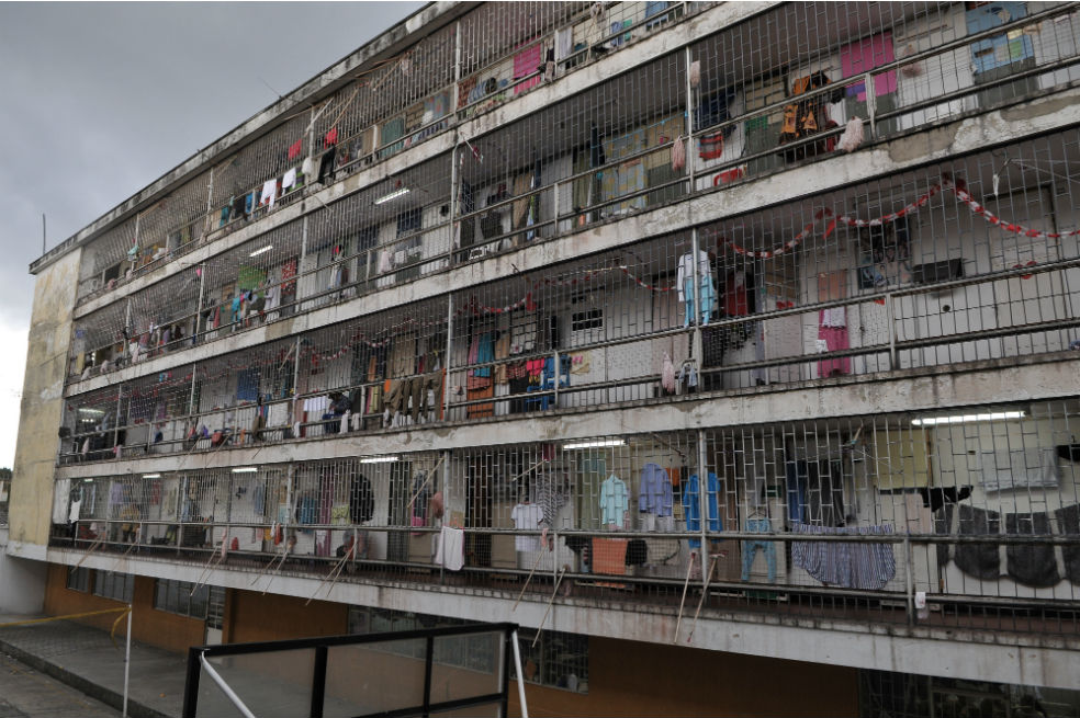 El Buen Pastor: entre la fiesta y el dolor