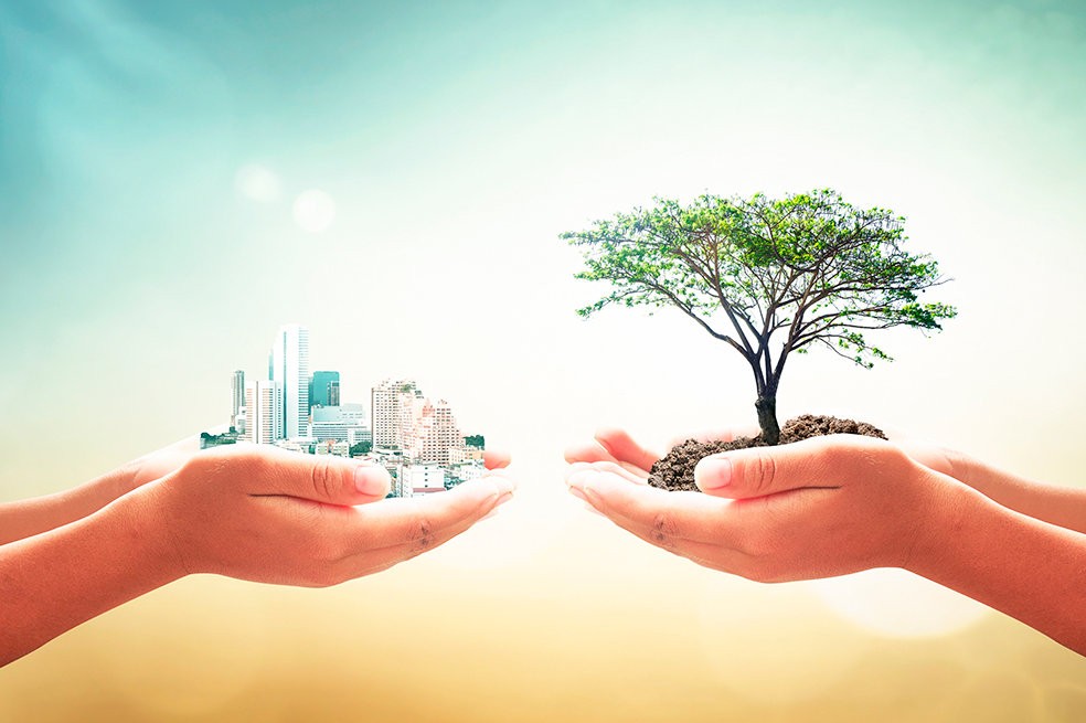 Sostenibilidad es ser responsable económica, social y ambientalmente con el planeta