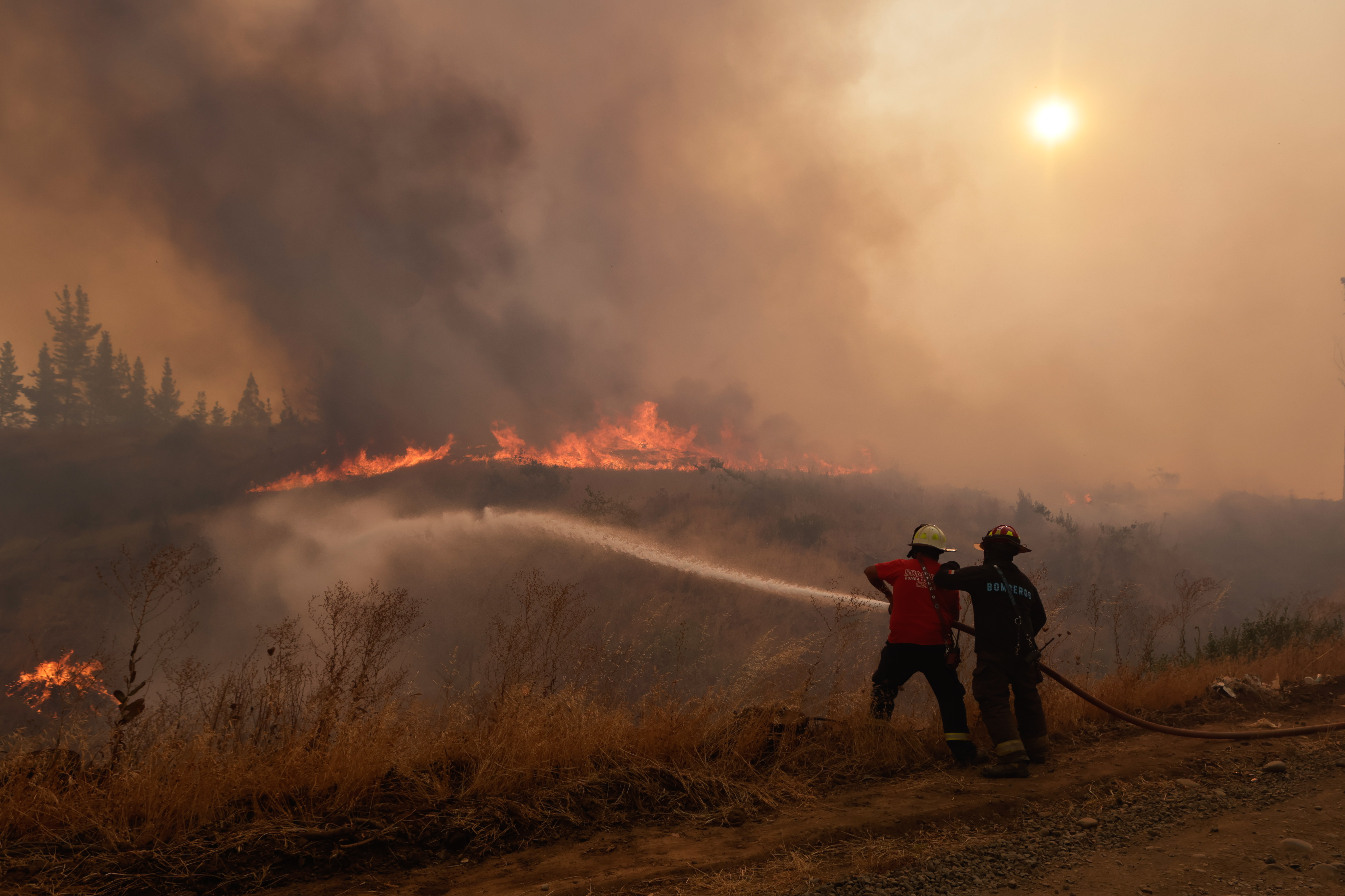 FAO llama a priorizar la prevención de incendios forestales en Latinoamérica
