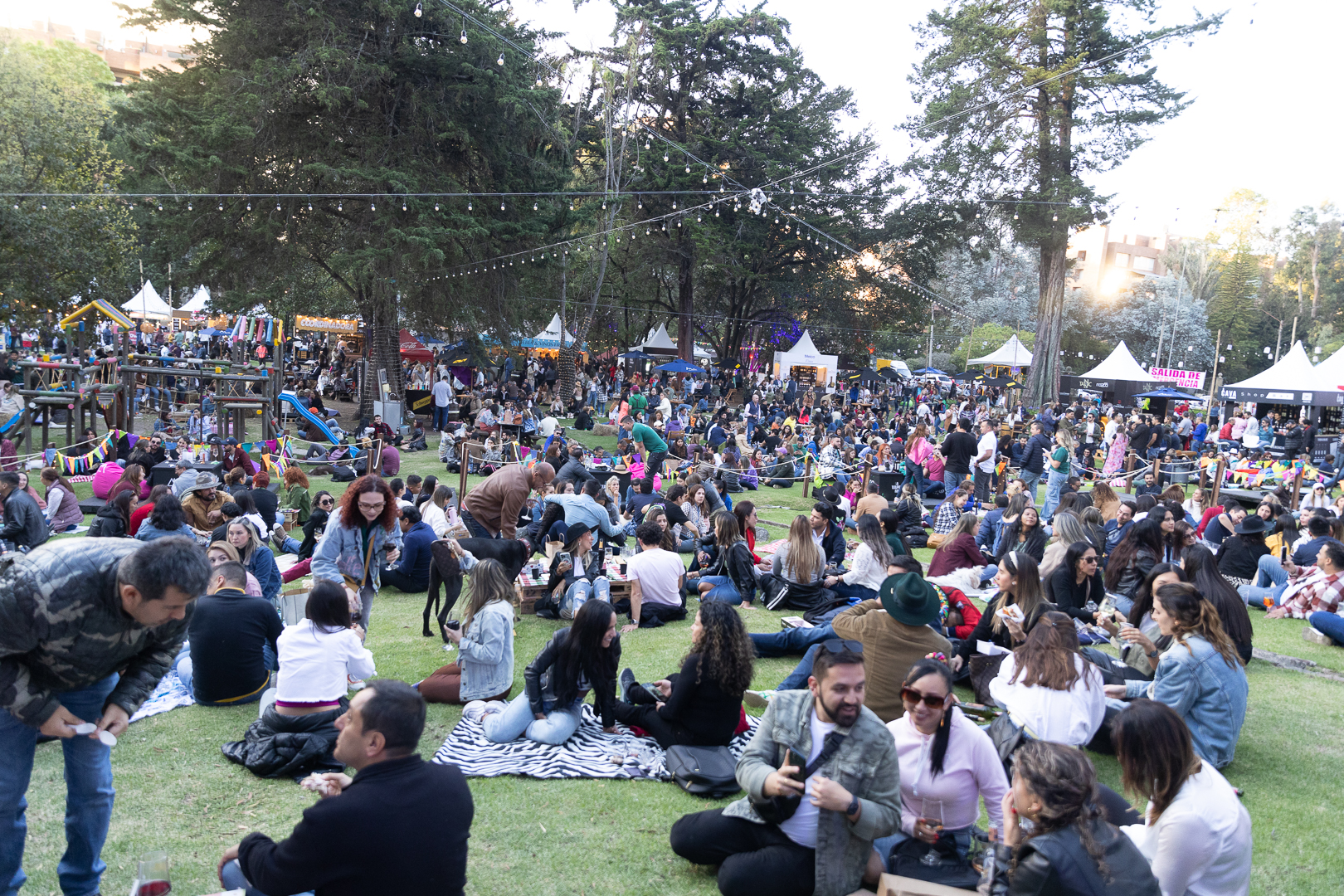 Vino al Parque 2024: una experiencia sensorial única en Bogotá