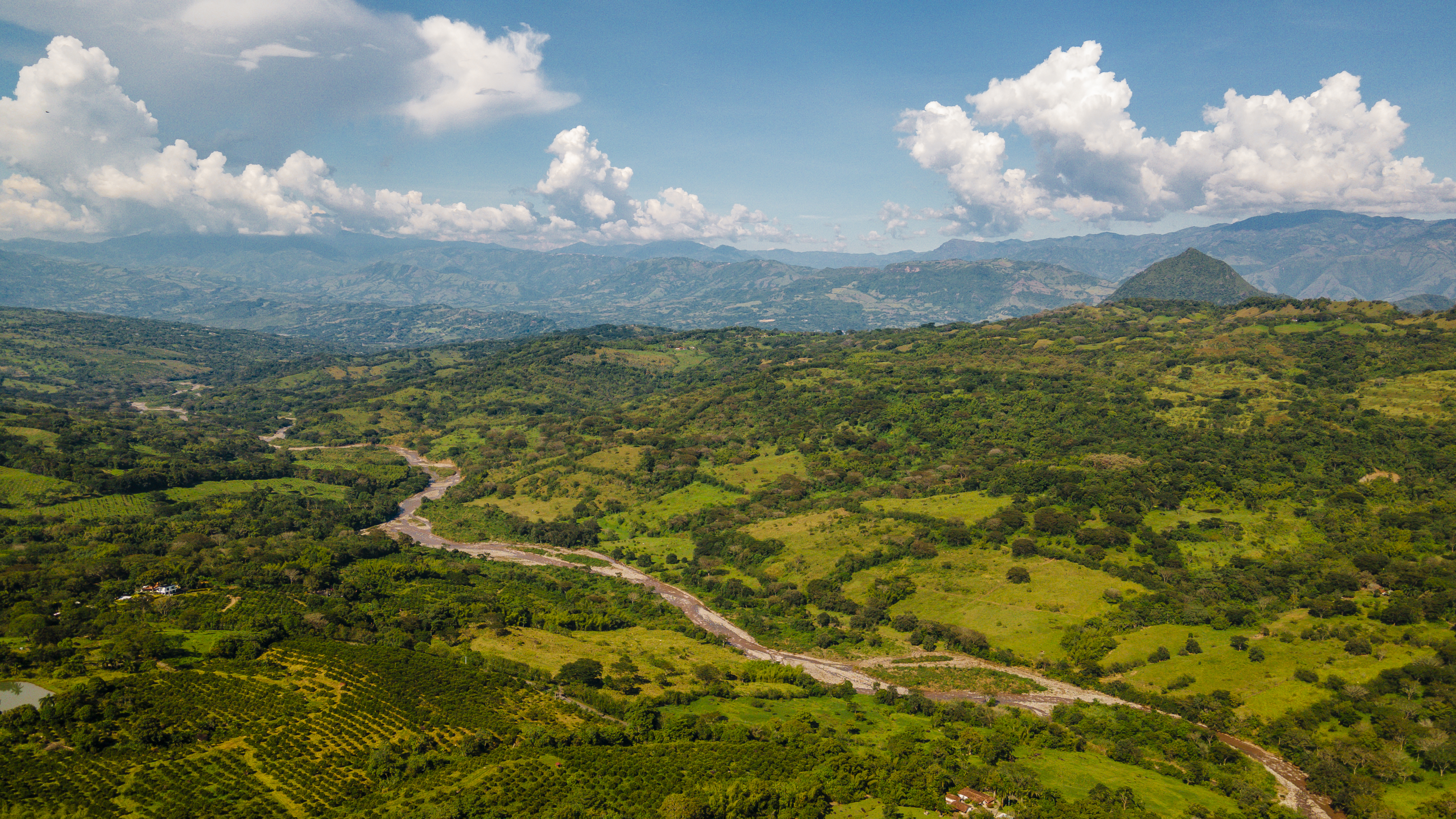 Un plan para reforestar cinco departamentos junto a las comunidades