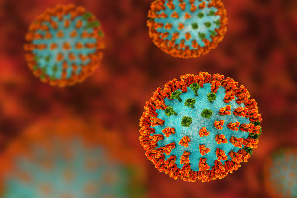 El ICA confirma brote de influenza aviar en Meta: fue detectado en aves de traspatio