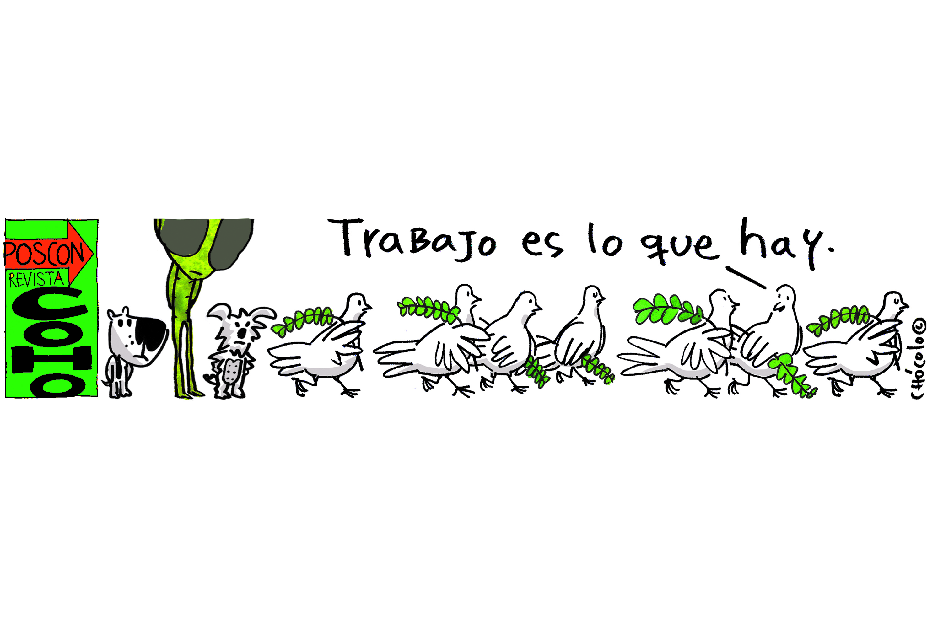 Revista CoHo