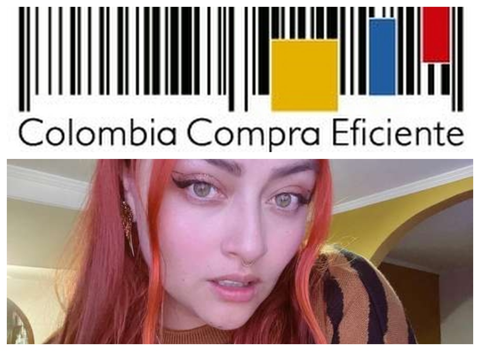 Procuraduría abre indagación a Colombia Compra Eficiente por contratos de “Lalis”