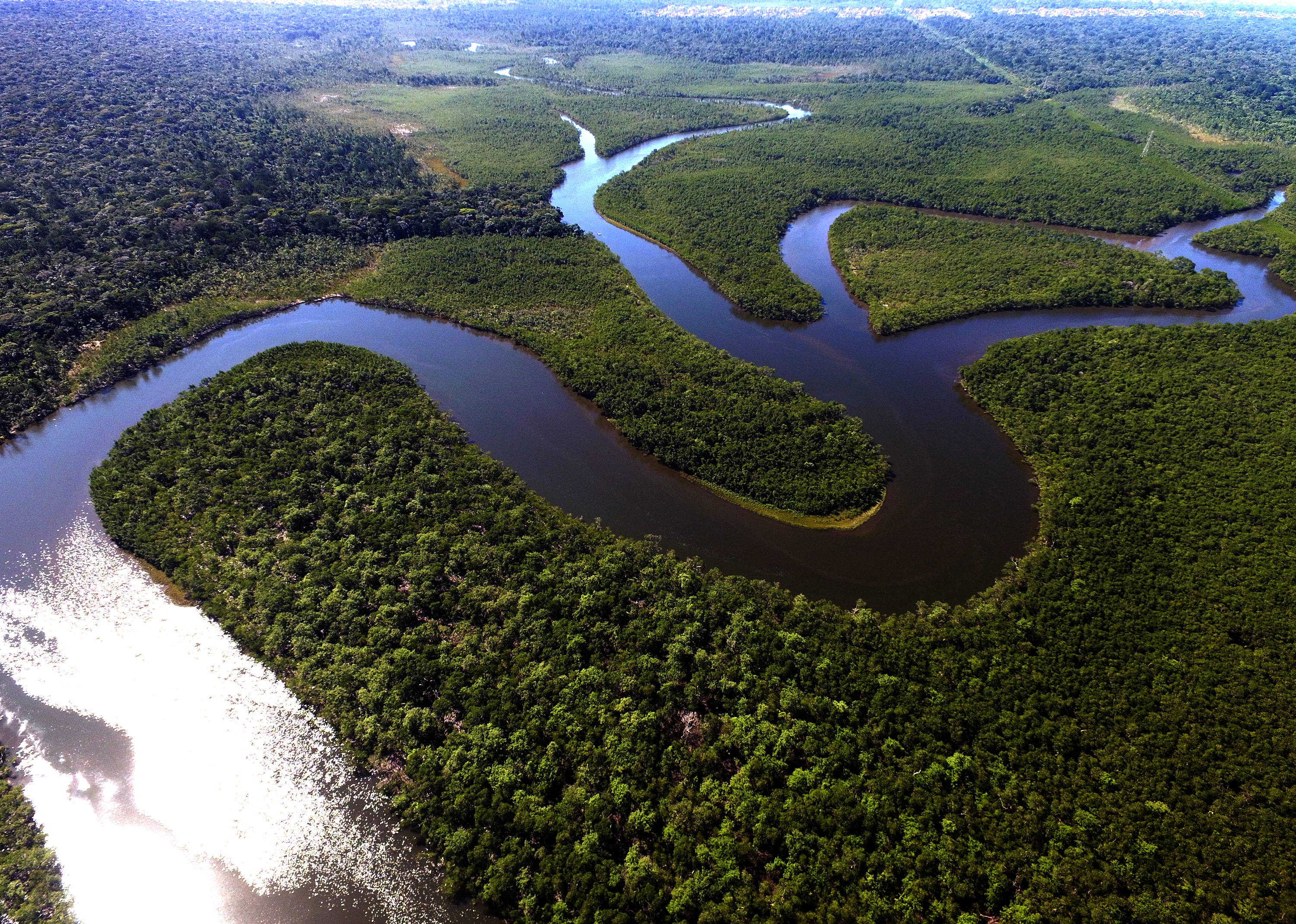 Proteger la Amazonia también servirá para salvaguardar las lenguas indígenas