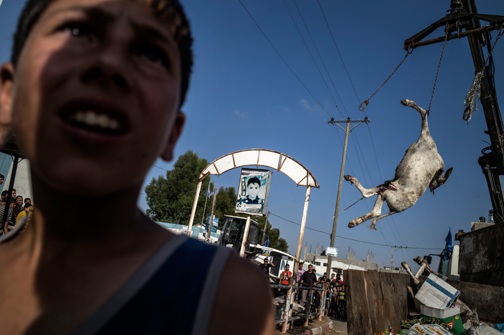 Un día en la Franja de Gaza