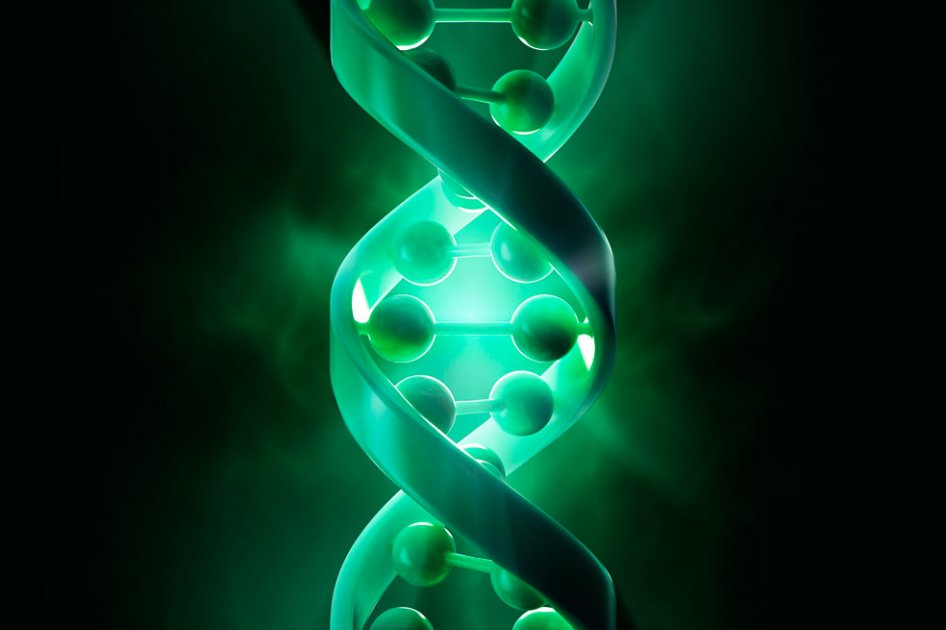 Proyecto Genoma II
