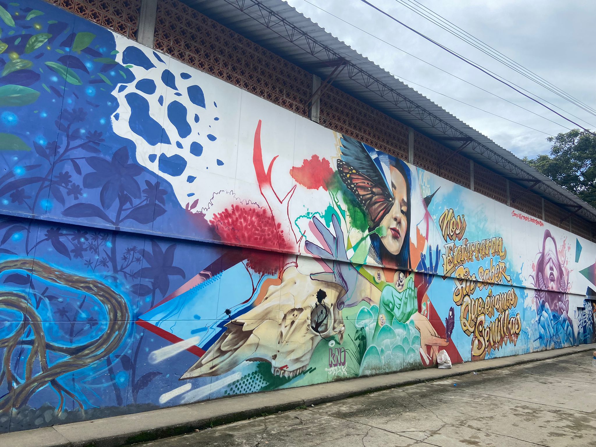 Los murales con los que San Carlos honra a las víctimas de la guerra
