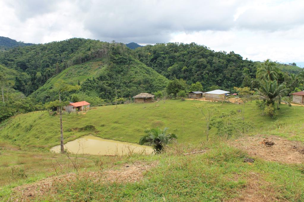 Lo que preocupa de las desapariciones forzadas en el Bajo Cauca