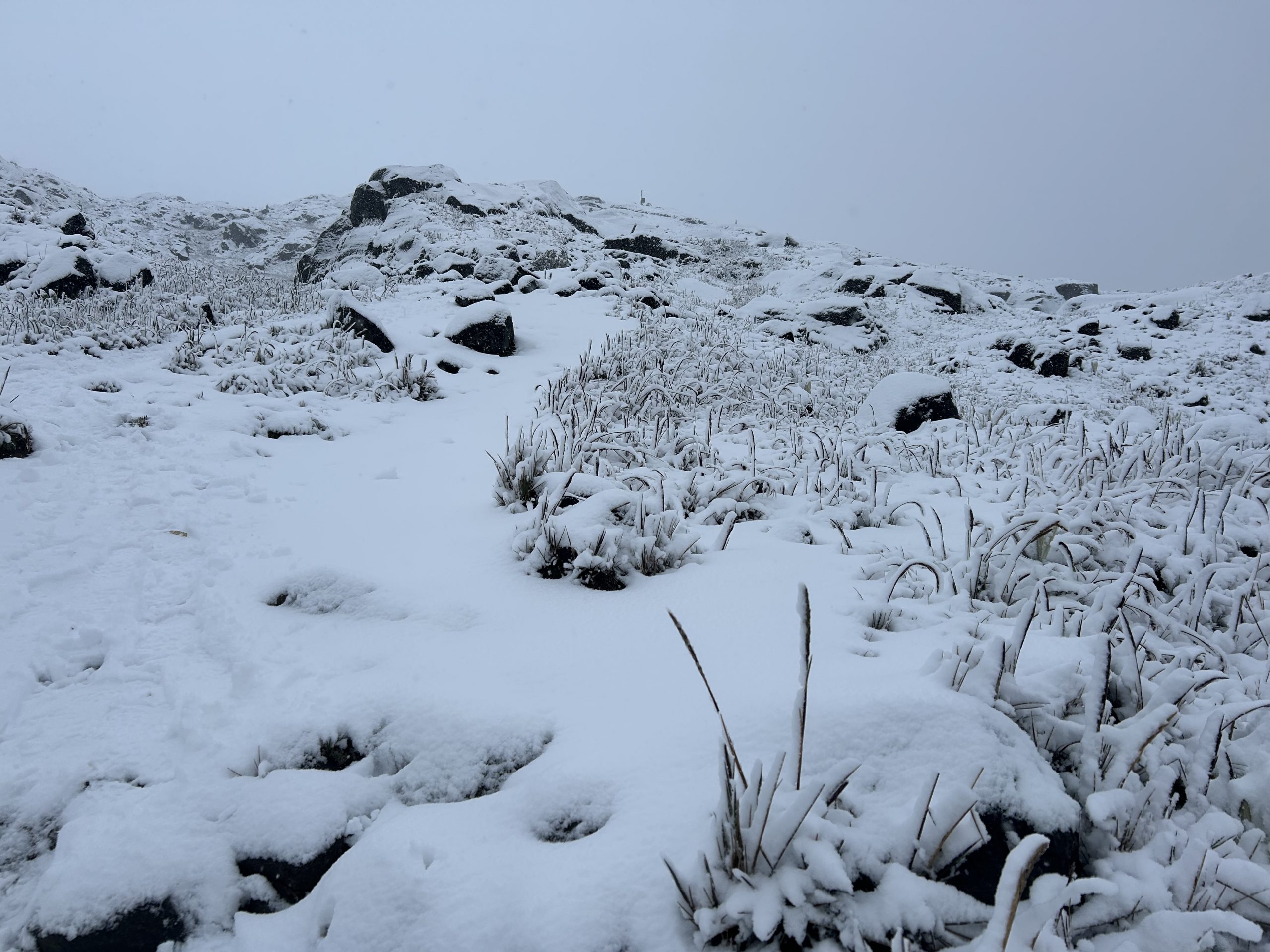 En fotos: la espectacular nevada que se presentó esta semana en el PNN Los Nevados