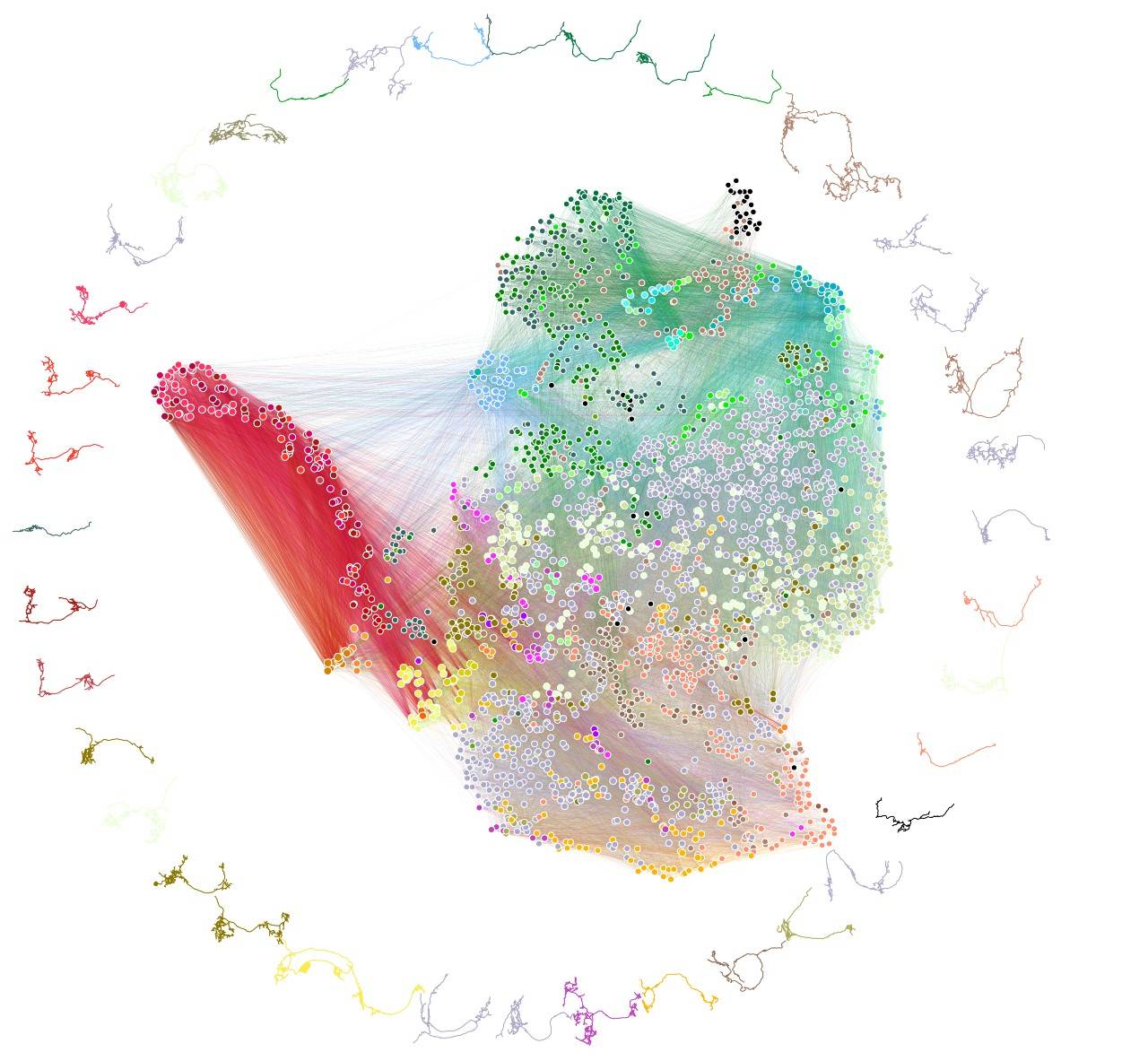 Logran el primer mapa del cerebro de un insecto y de sus conexiones neuronales