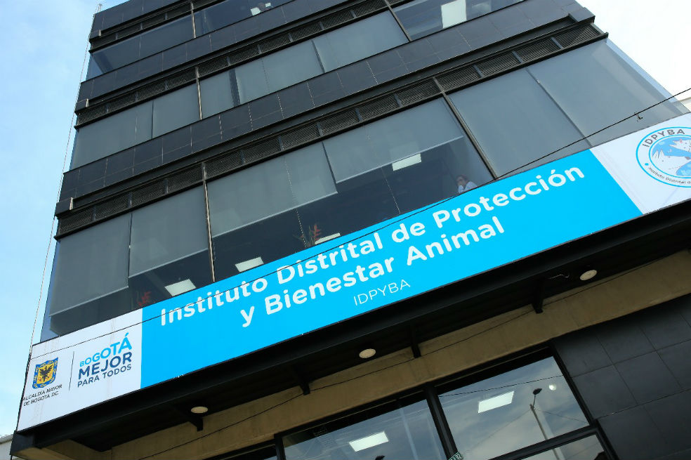 Directora de Protección Animal adjudicó contrato a su antiguo empleador