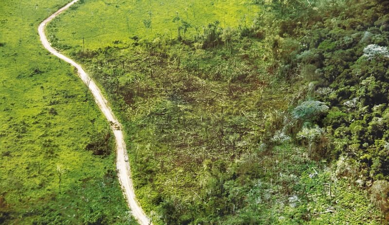 Deforestación tiene en líos a tres alcaldes