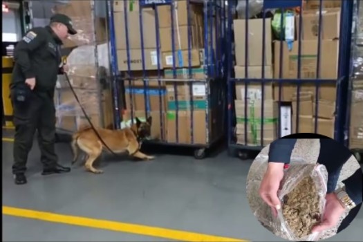 Marihuana en encomiendas: incautan 100 kilos en bodega del aeropuerto El Dorado