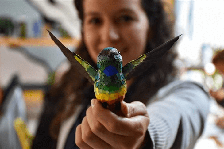 Residuos son convertidos en esculturas de aves para promover turismo ambiental en Colombia