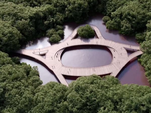 La Ciénaga de Mallorquín se convertirá en el gran pulmón ecoturístico de Barranquilla.