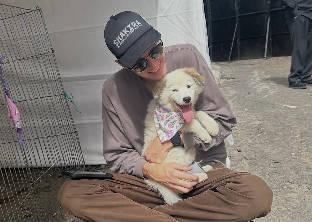 Perrito callejero conquistó al equipo de Shakira y ahora los acompaña en la gira