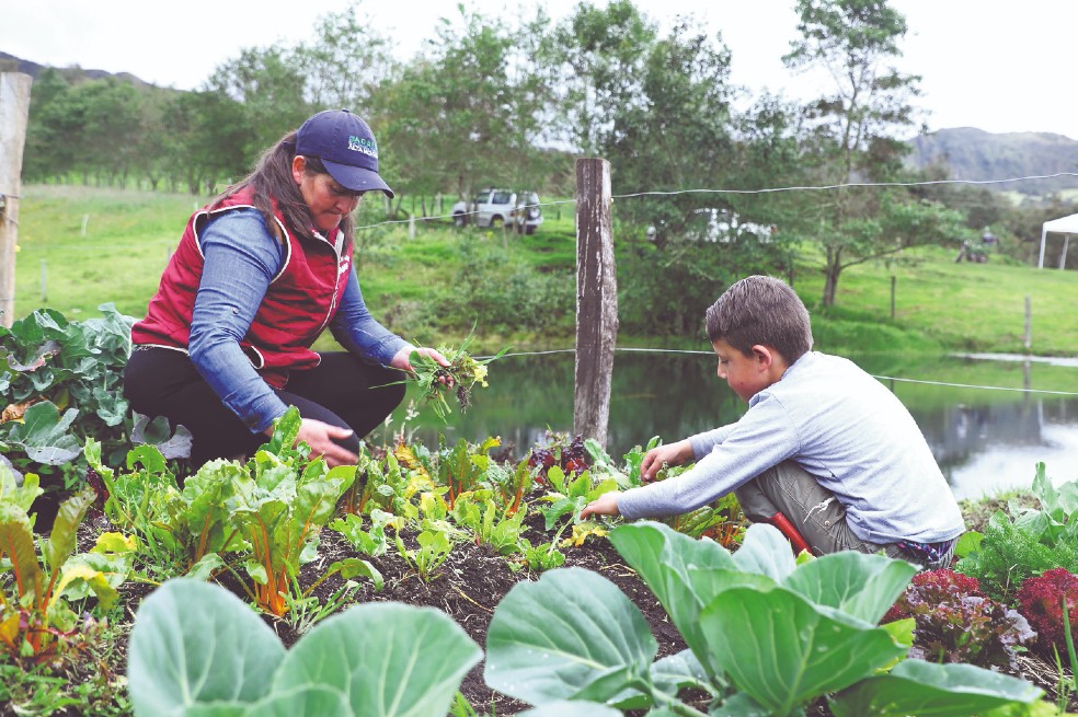 Más ventas y precios justos, los objetivos para los campesinos de Cundinamarca