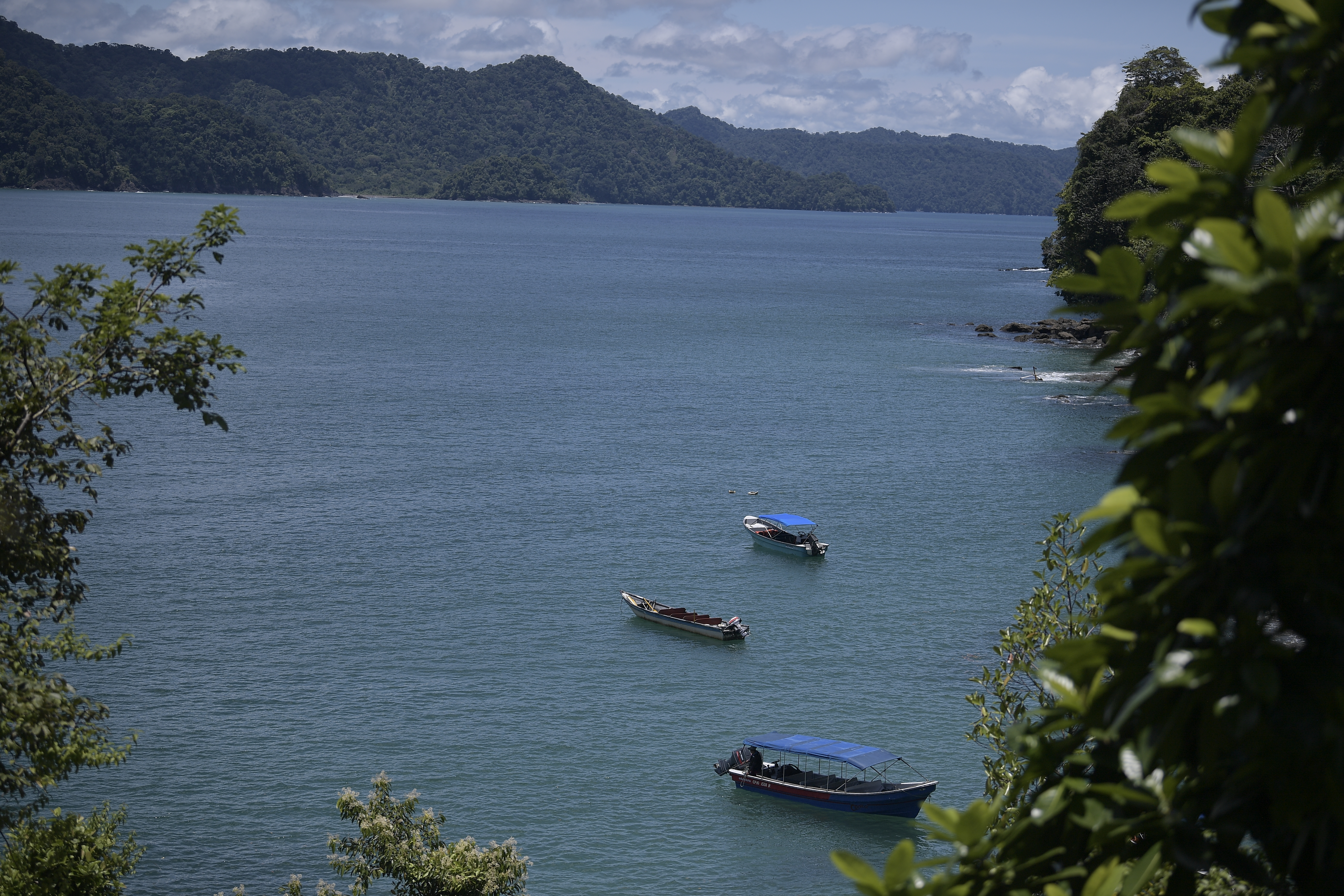 Liberaron ballena que estaba atrapada en una malla cerca a Bahía Solano, Chocó