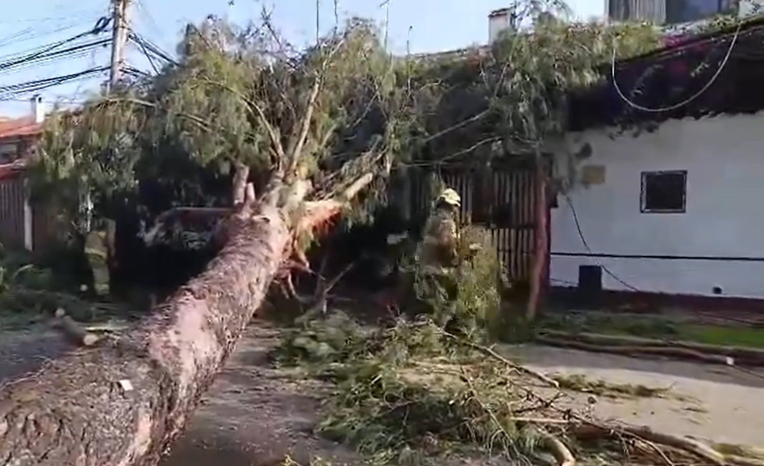 Cinco personas quedaron atrapadas en su propia casa por la caída de un árbol