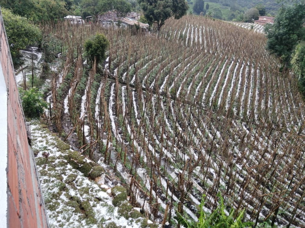 Granizada afectó vías y cultivos en el oriente antioqueño