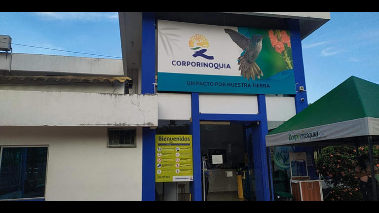Consejo de Estado anula elección de la directora de Corporinoquía, Doris Bernal
