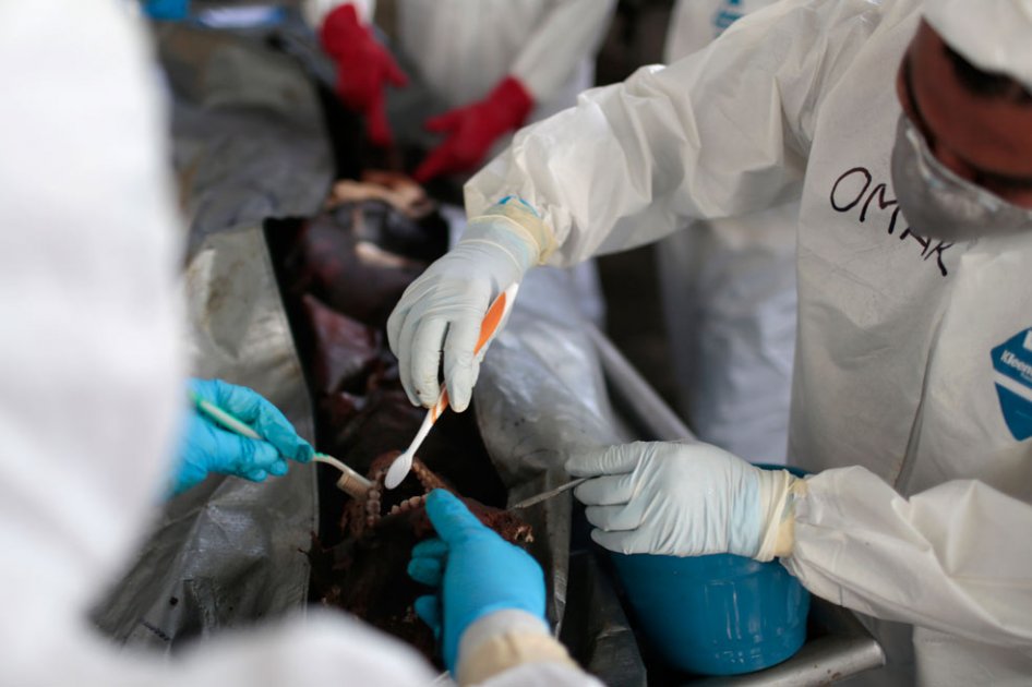 Investigan hallazgo de 60 cadáveres en crematorio en México