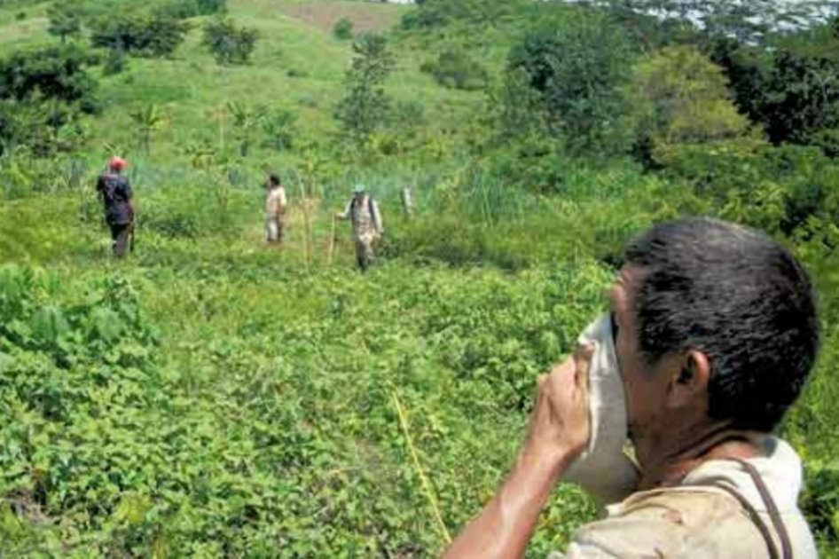 Juez agrario decidirá sobre devolución de tierras en Chibolo (Magdalena)