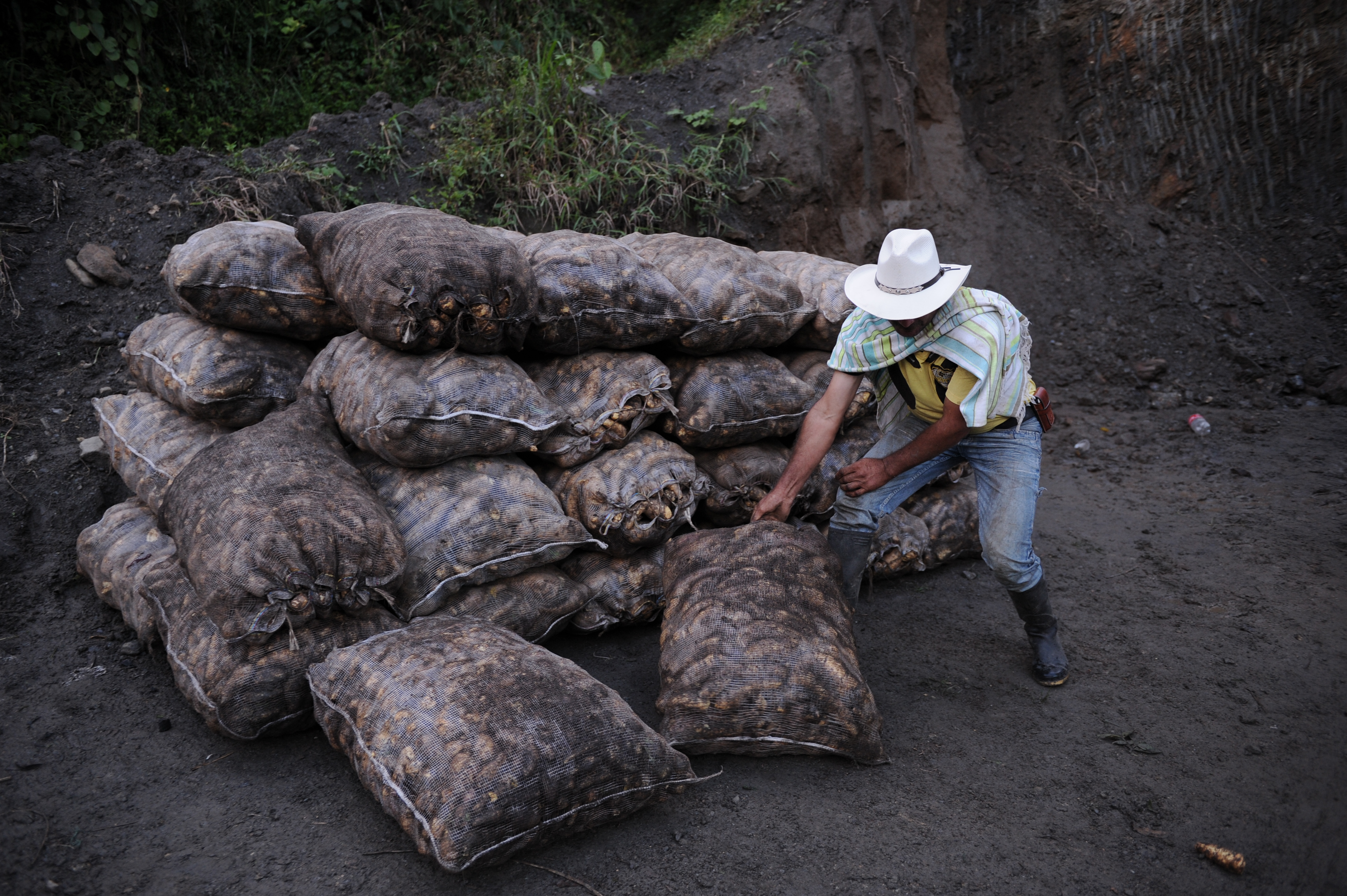 Gobierno reactiva jornadas de negocios de “agricultura por contrato”