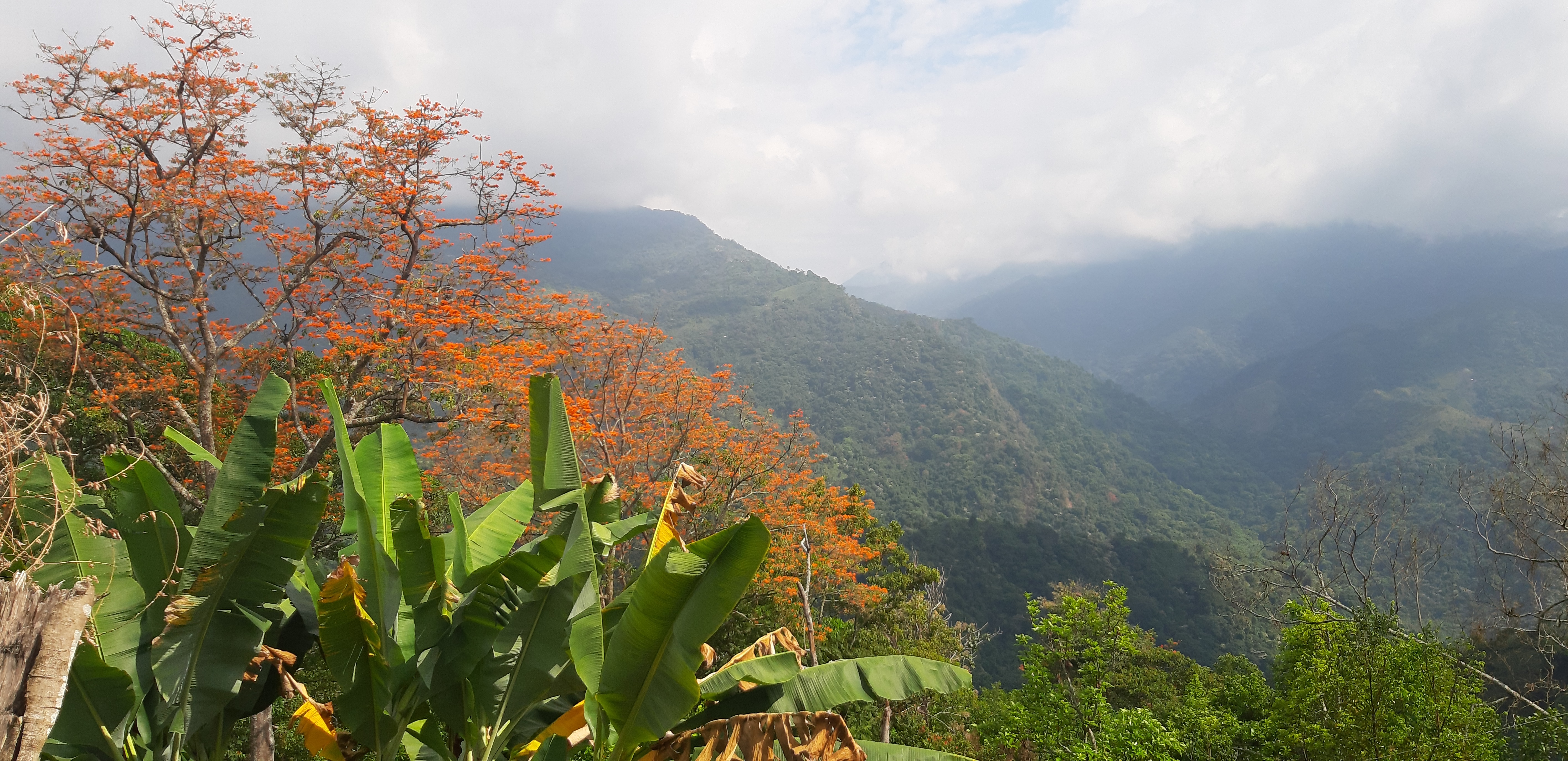 Hallaron muerto a neerlandés en una finca de Minca, en Santa Marta