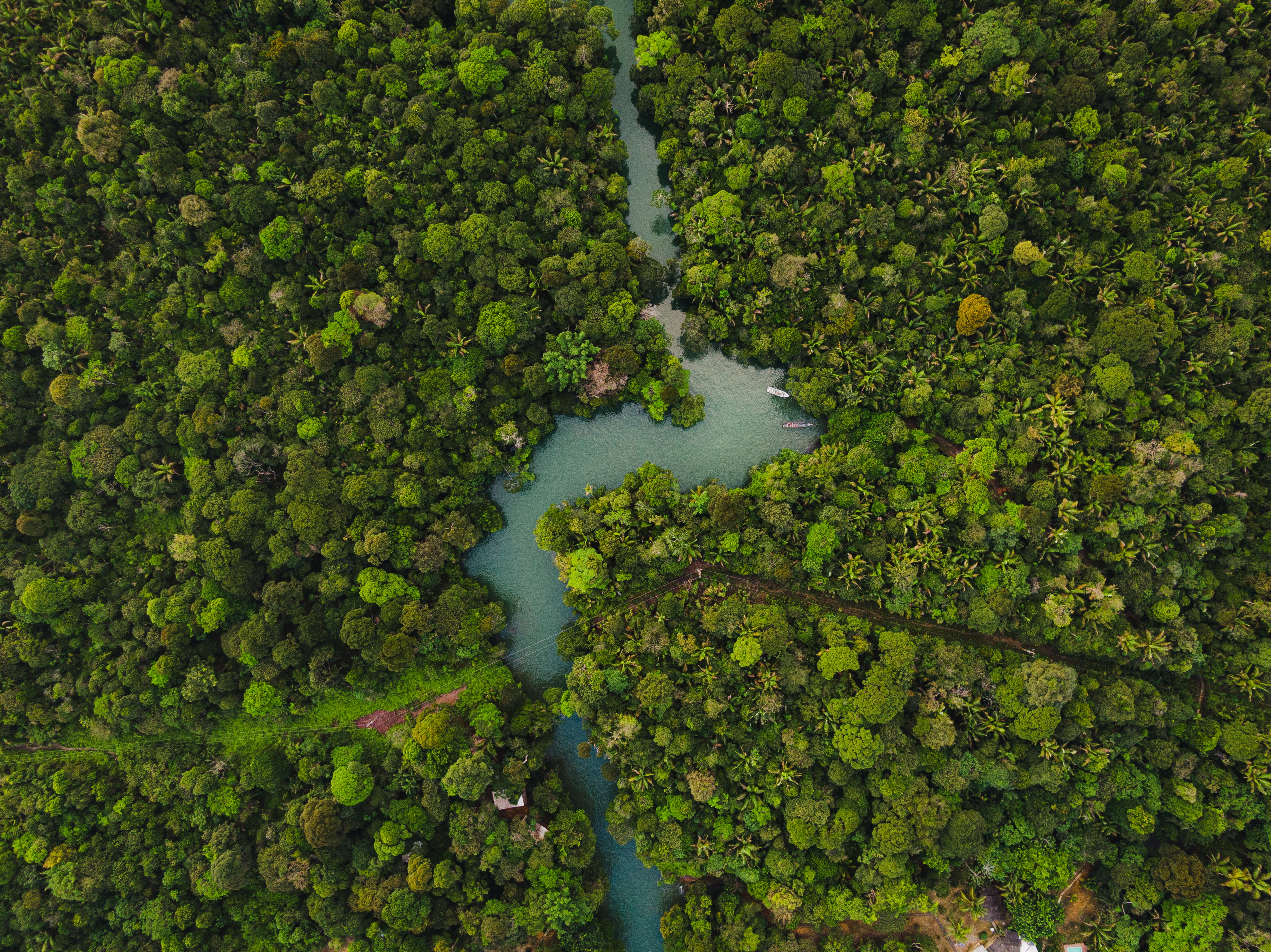 La propuesta para que el Nobel de Paz sea para los protectores de la biodiversidad